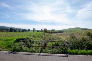 Asciano, importante passo per la sicurezza idraulica: affidati lavori per realizzazione scolmatore borro della Rabatta