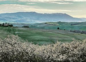 Novembre a Montalcino: il mese del Tartufo Bianco e del Brunello tra degustazioni, arte, cultura e sapori d’autunno