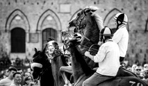 Ottocento visitatori alla mostra "Foto mosse",  la classifica delle foto preferite