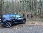 Droga nei boschi di Piancastagnaio, i carabinieri smantellano un bivacco degli spacciatori