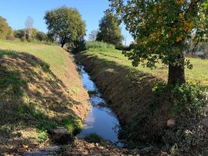 Sovicille, manutenzione conclusa sul Fosso del Mulinello