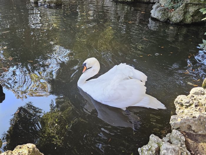 Siena: Giardini de La Lizza, nuovo percorso per l’avvicinamento al laghetto