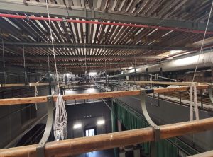 Siena: "Dietro le quinte", ciclo di visite guidate al Teatro dei Rinnovati