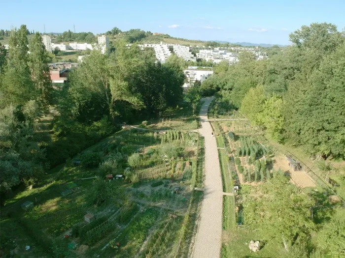 Siena, orti urbani di San Miniato, aperto l&rsquo;avviso pubblico per l&rsquo;assegnazione di quattro appezzamenti