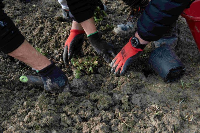 Inaugurato nella Casa di reclusione di Ranza, a San Gimignano, il progetto di agricoltura sociale realizzato grazie ad Estra