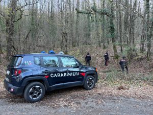 Monteriggioni: blitz nel bosco, Carabinieri smantellano bivacco per spaccio