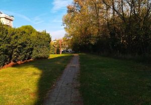 Poggibonsi, giardini di Salceto: approvata la manutenzione di percorsi interni e verde