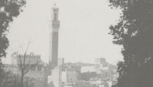 "Museo archeologico e dintorni. Personalità a confronto: Fabio Bargagli Petrucci e Ranuccio Bianchi Bandinelli", convegno a Siena