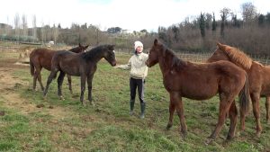 Palio: undici vittorie in Piazza per l'allenatore Massimo Milani