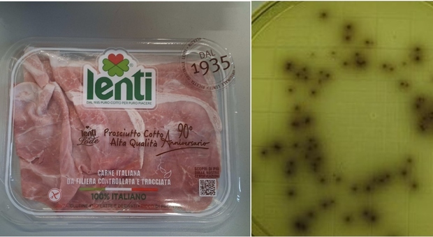 Siena, rischio listeria: alimenti ritirati dai supermercati senesi e italiani