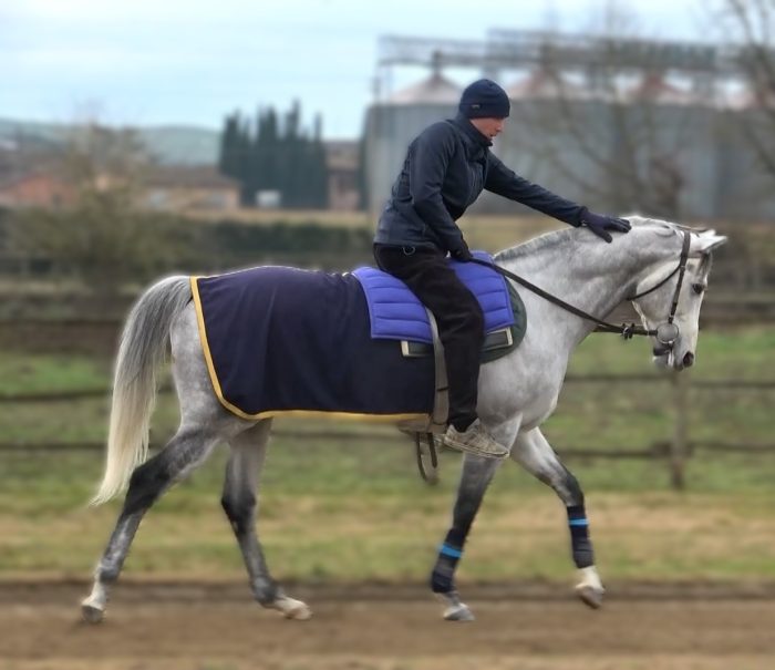Cavali da Palio: per scuderia Atzeni sugli scudi Beniamino e Diodoro