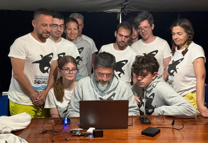 Squali balena, nuova missione a Djibouti: l&rsquo;Universit&agrave; di Siena in prima linea nella ricerca