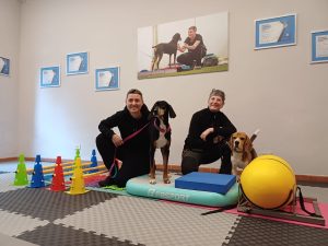 Cinofilia: apre a Siena la prima palestra per cani dove praticare Dog Balance Fit