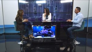 Paycare, politiche attive e cassa integrazione: sindacati tra accordo e timori per il territorio