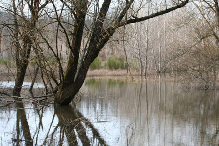 Rapolano Terme, Lago di Calcione: approvato regolamento comunale e ordinata rimozione barche abbandonate