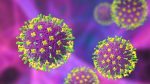 Siena, VisMederi in prima linea contro il virus Nipah che fa paura in India