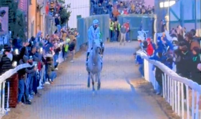 Palio di Buti: vince Pievania con Selvaggio da Clodia e il fantino Alessandro Fiori