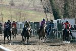 Corse a pelo al galoppatoio di Pian delle Fornaci, 77 cavalli in pista il 21 marzo. Il programma