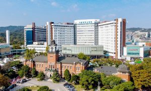 Siglato protocollo d&rsquo;intesa tra l&rsquo;Azienda ospedaliero-universitaria Senese, l&rsquo;Universit&agrave; di Siena e il Seoul National University Hospital
