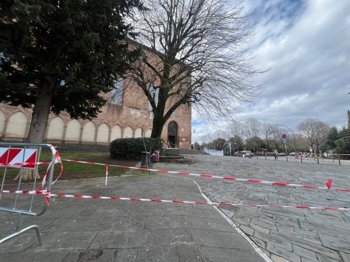 Siena, tiglio di San Domenico: nessun abbattimento deciso, attesa la perizia