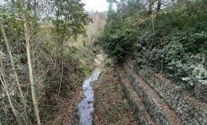 Consorzio di bonifica Cb6, manutenzione sul torrente Bornia a Castelnuovo Berardenga
