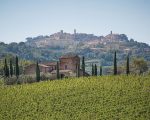 Montepulciano e Università di Siena insieme per il clima: approvato accordo per Piano d’Azione per l’Energia Sostenibile
