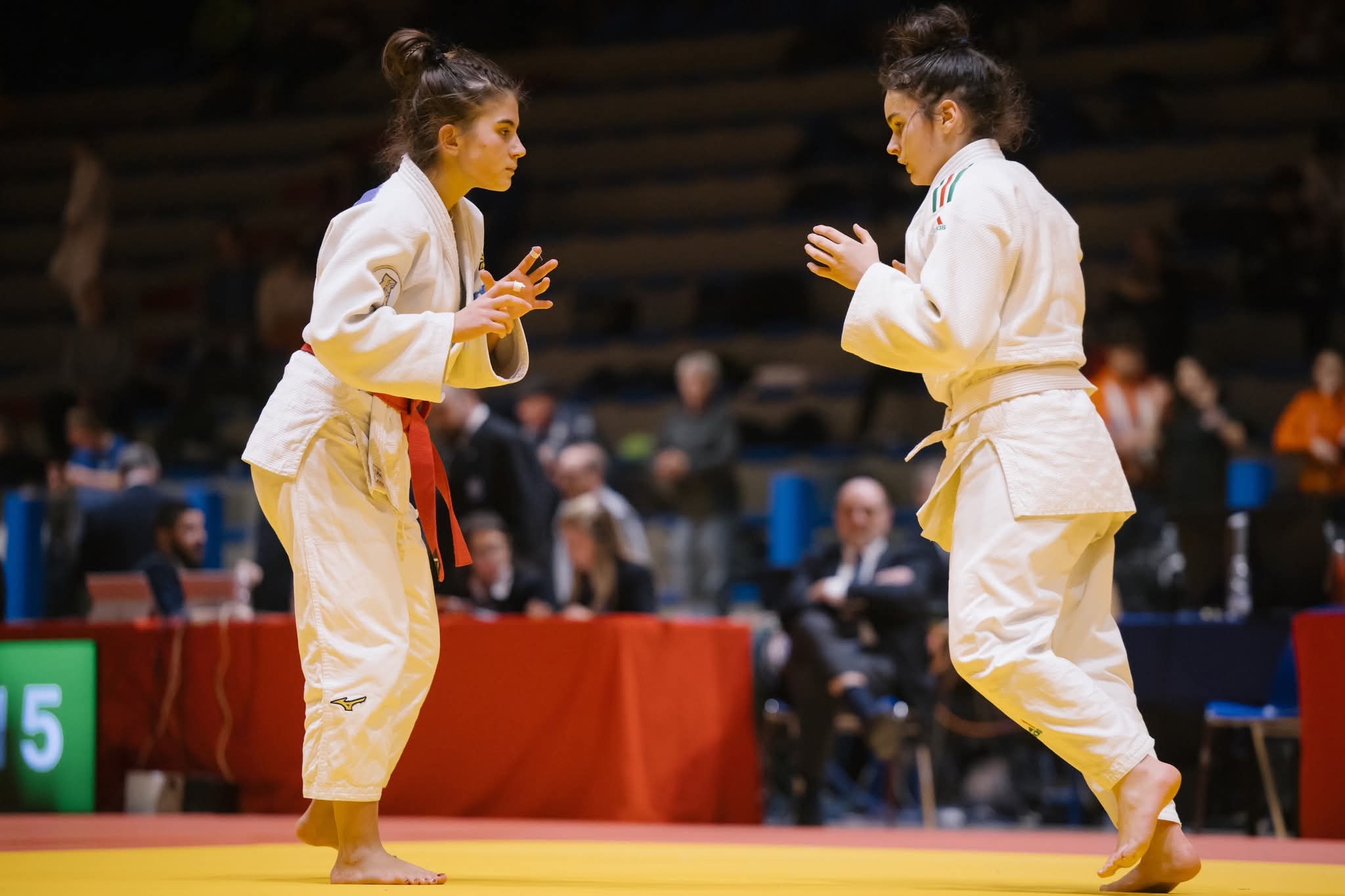 How does the international judo stage impact Siena's relations with Japan? How does the international judo stage impact Siena's relations with Japan?