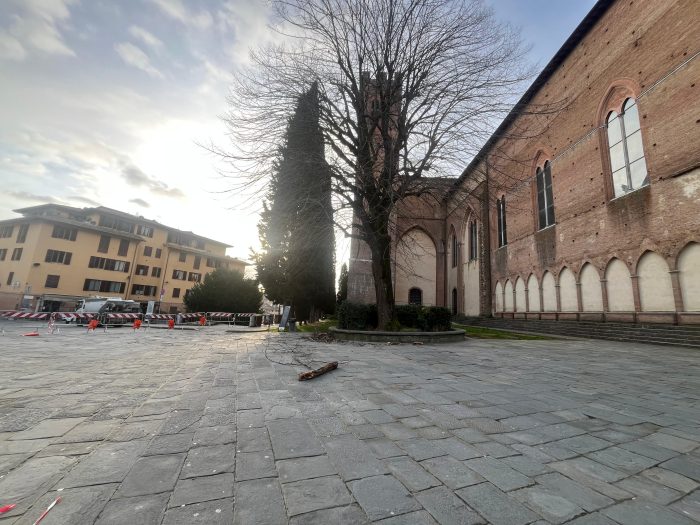 Siena, il Comune sostituir&agrave; il tiglio di piazza San Domenico: albero in condizioni critiche