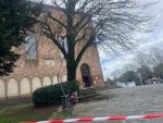 Siena, tiglio di San Domenico: Italia Nostra chiede l’accesso agli atti e vuole commissionare un’altra perizia