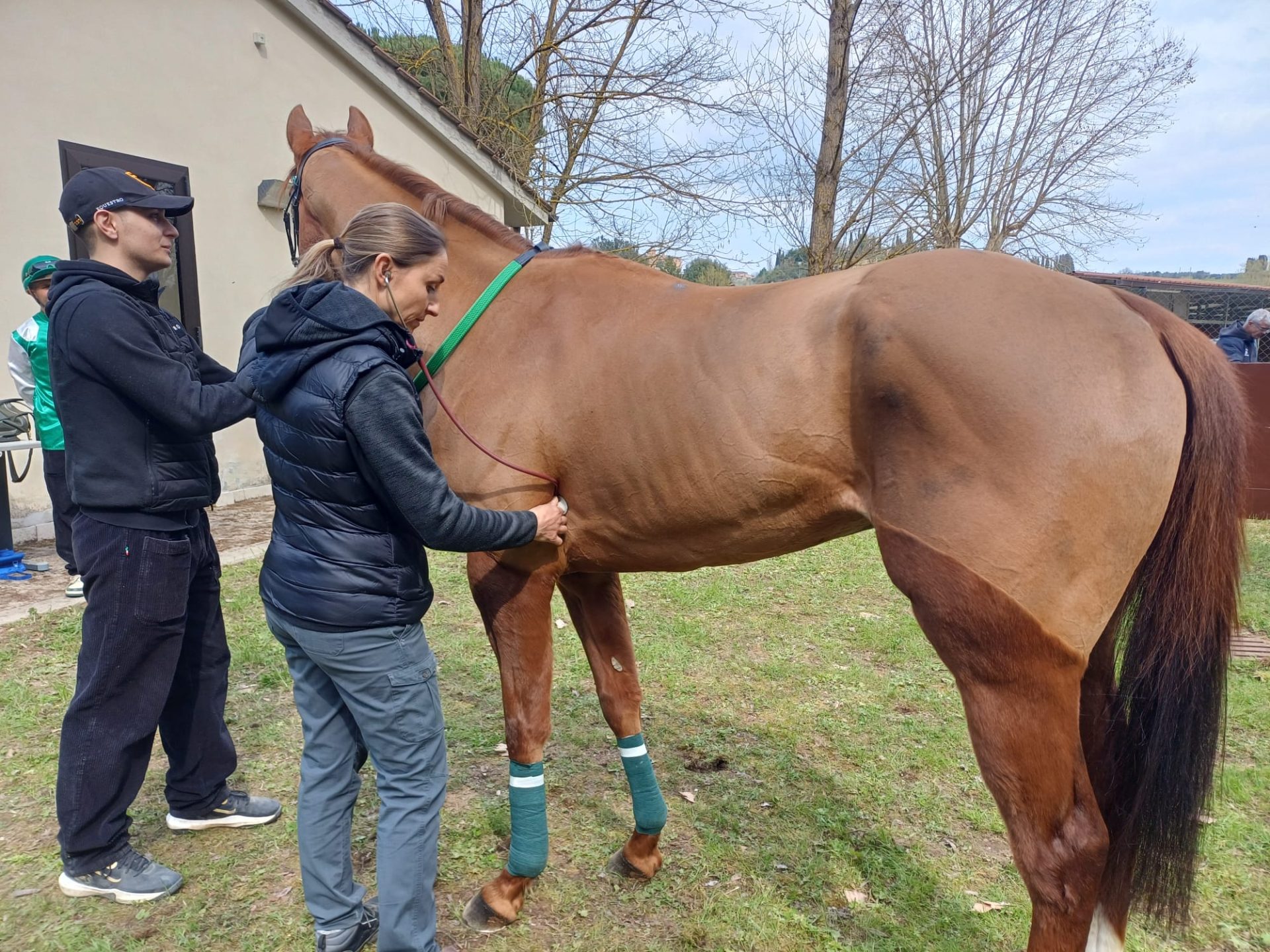 Cavalli da Palio, controlli pi&ugrave; serrati sul benessere con il decreto Abodi