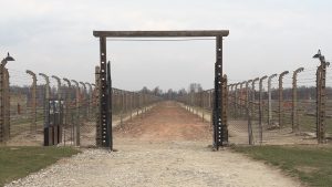 Treno della Memoria 2026, la Regione Toscana a Birkenau per non dimenticare