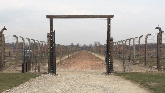 Treno della Memoria 2026, la Regione Toscana a Birkenau per non dimenticare