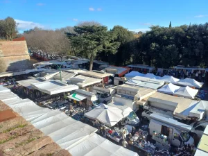 Siena, il Consiglio comunale approva il nuovo Regolamento del commercio sulle aree pubbliche