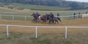 Palio di Siena, domani 31 marzo, lavori di addestramento a Mociano. Il programma