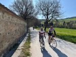 “Poggi e Buche”, Montepulciano pedala nel tempo: aperte le iscrizioni per la ciclostorica 2026