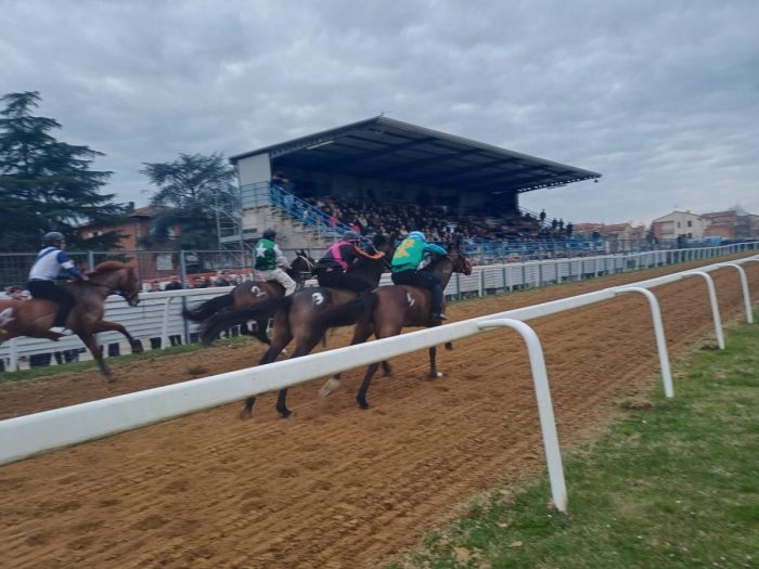 Corse a pelo: I Gran Premio delle Crete Senesi sabato in notturna allo stadio di Monteroni d'Arbia
