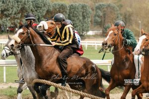 Corse Pian delle Fornaci - La gallery