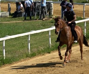 Palio. Mociano, debutto di stagione per il barbero Benitos