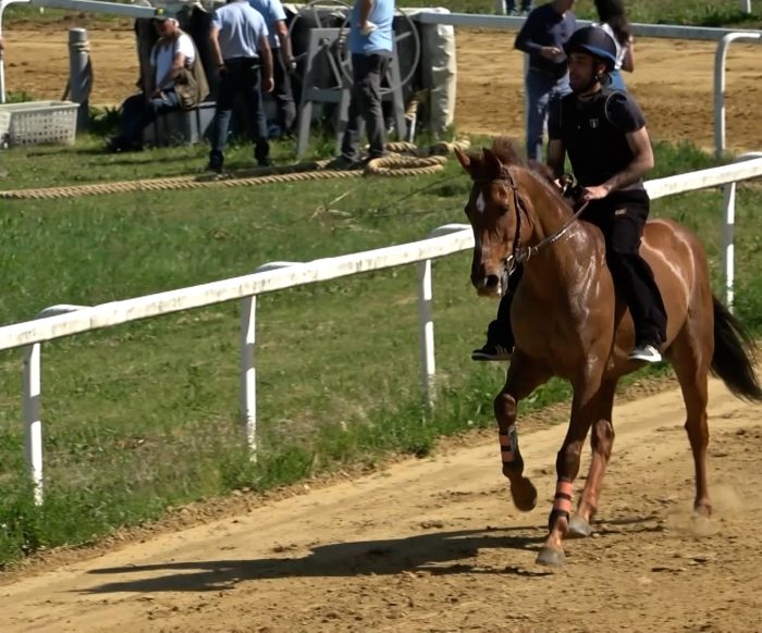 Palio. Mociano, debutto di stagione per il barbero Benitos