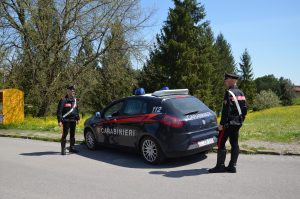 Sgomberate due basi di spaccio di droga nei boschi di Sovicille