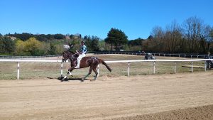 Palio: prima giornata di corse a Monticiano