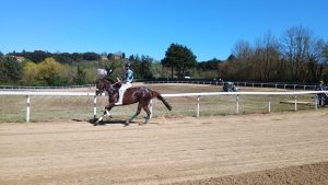 Palio: prima giornata di corse a Monticiano
