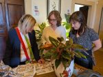 Colle Val d’Elsa accoglie studenti europei: scambio culturale con il progetto MIKE
