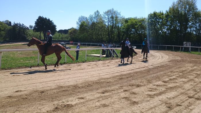 Protocollo Equino, il programma dei lavori di addestramento a Monticiano