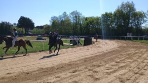 Palio, secondo appuntamento a Monticiano: la cronaca delle corse sul "Tamburo"
