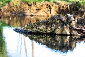 Colle Val d'Elsa: 20 guardie volontarie presidieranno da maggio il SentierElsa