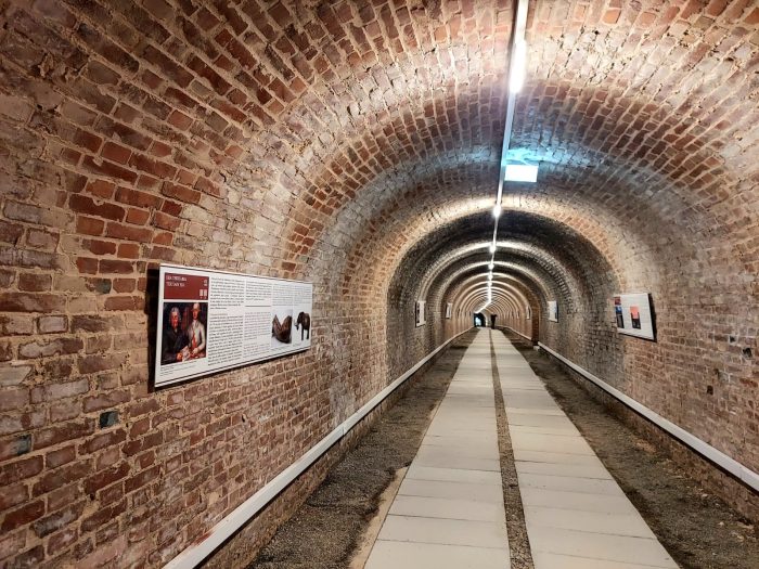 Torrita di Siena, nel tunnel sotterraneo un nuovo percorso espositivo racconta la storia del territorio
