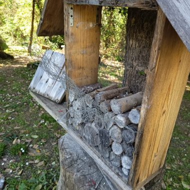atti vandalici boschetto san miniato 2