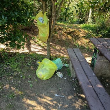 atti vandalici boschetto san miniato 3