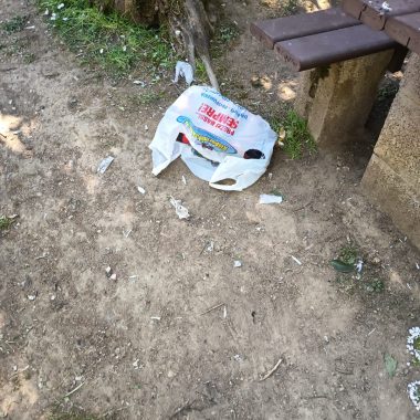 atti vandalici boschetto san miniato 4